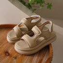 44227817013405|44227817046173|44227817078941|44227817111709|44227817144477|44227817177245