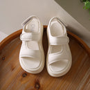 44227816816797|44227816849565|44227816882333|44227816915101|44227816947869|44227816980637