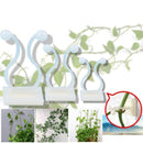 Clipe de Fixação para Plantas