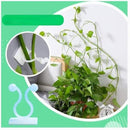 Clipe de Fixação para Plantas