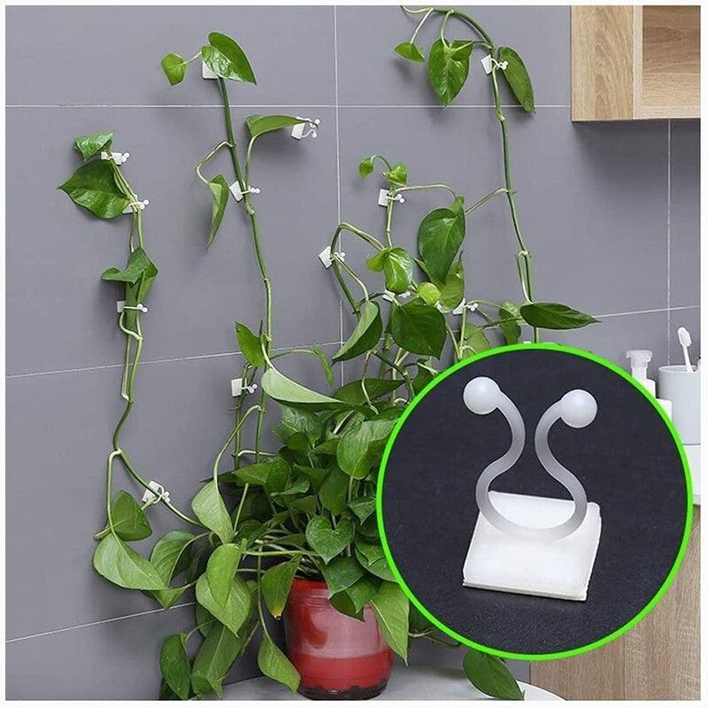Clipe de Fixação para Plantas