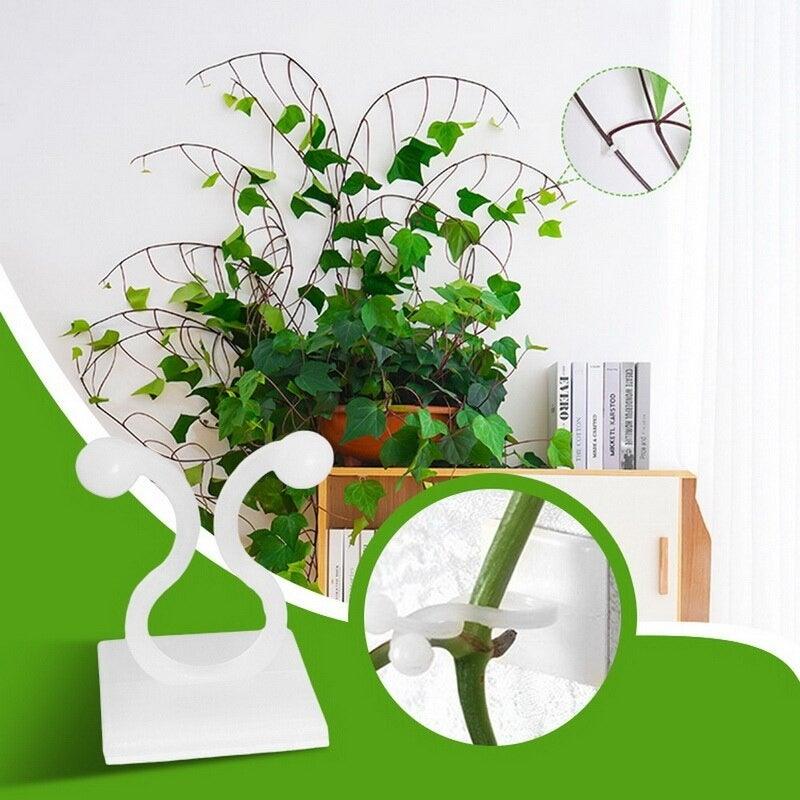 Clipe de Fixação para Plantas