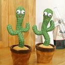 Cactus Dançarino - Repete os Sons que Escuta