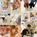 Brinquedo Interativo com Alimentação