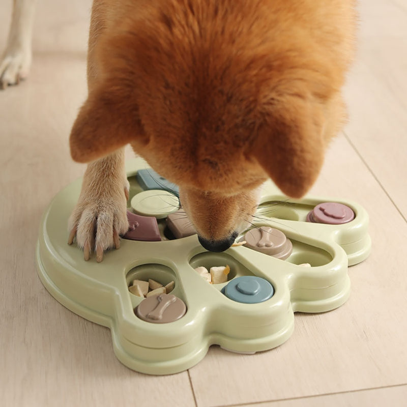 Brinquedo Interativo com Alimentação
