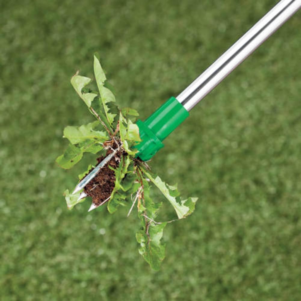 Removedor de Raiz de Planta em Pé