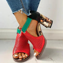 Sandália Elegance Catarina