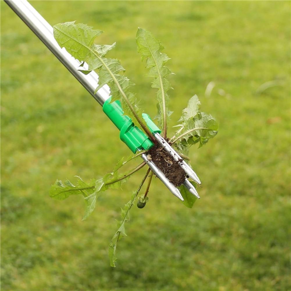 Removedor de Raiz de Planta em Pé