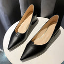 Sapato Elegance Janne