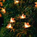 Luzes de Abelha LED à Energia Solar