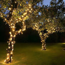 Pisca-Pisca movido a Energia Solar