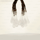 Luzes Gota de Orvalho movido a Energia Solar