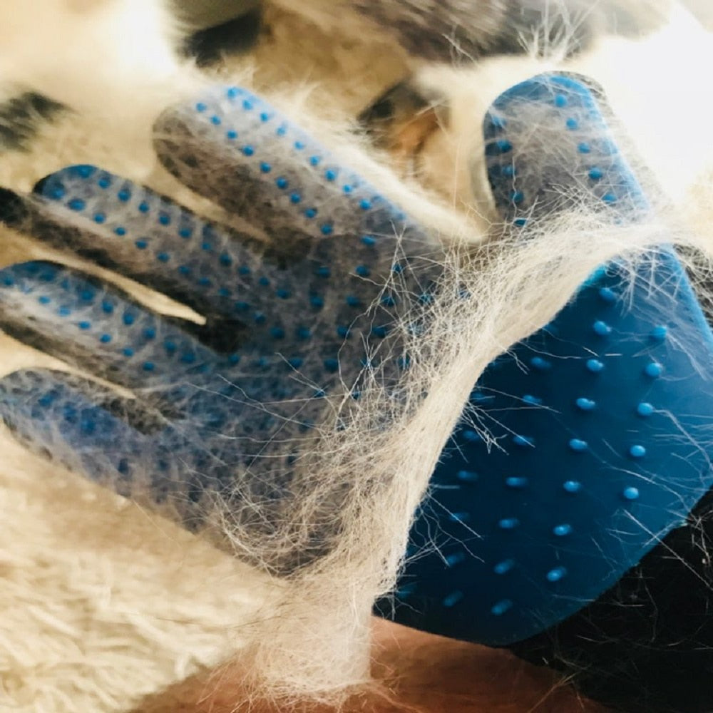 Luva Removedora de Pelos para Pet