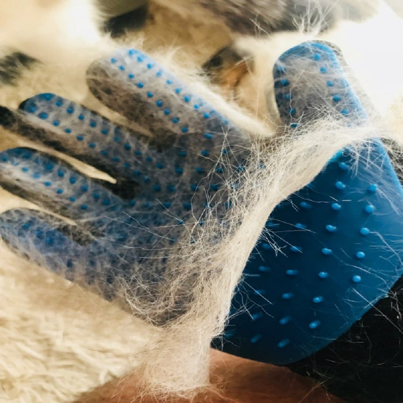 Luva Removedora de Pelos para Pet