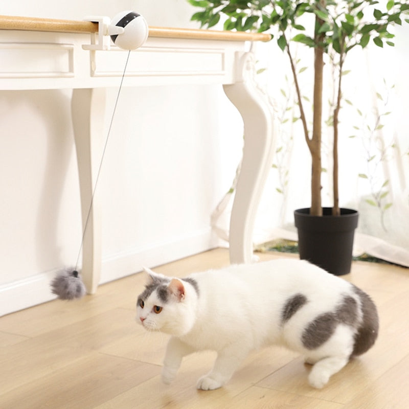 Brinquedo Ioiô Interativo que Estica a Bolinha para Gatos