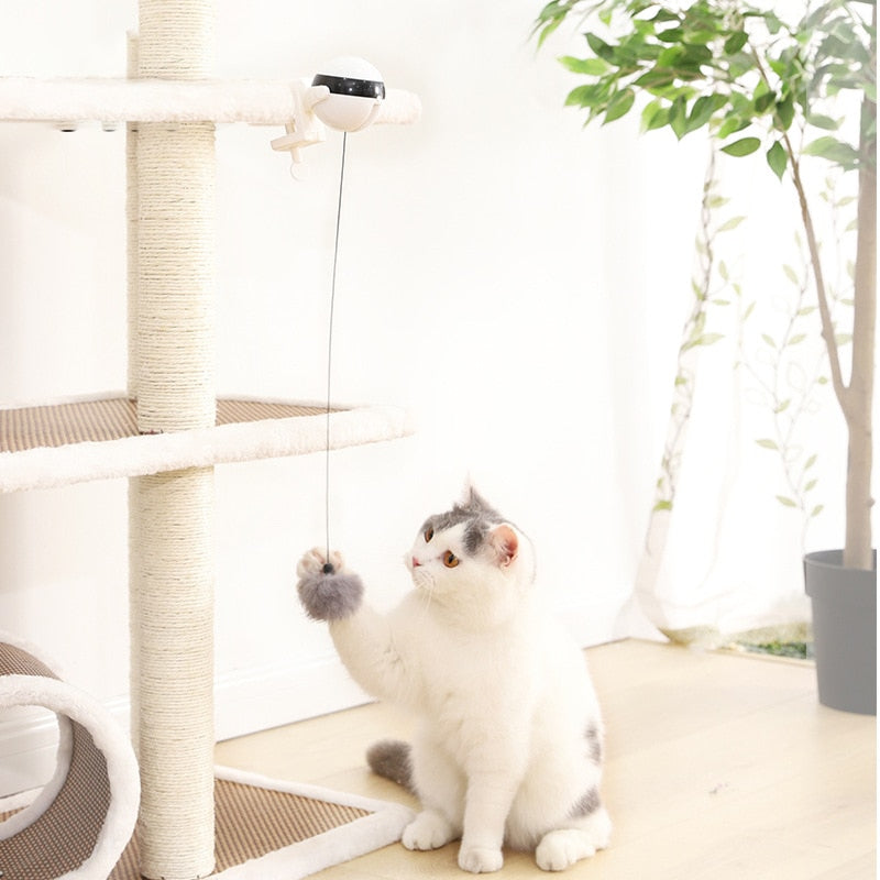 Brinquedo Ioiô Interativo que Estica a Bolinha para Gatos