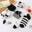 Kit 5 Pares de Meia Cano Curto Estampa de Vaquinha