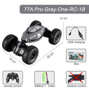 Carro Acrobático Grande Elétrico com Luz Led