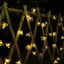 Flores Pisca-Pisca com Painel Solar (Branco Quente)