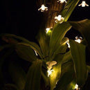 Flores Pisca-Pisca com Painel Solar (Branco Quente)