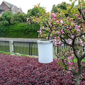 Jarro Lamparina com Painel Solar - Dê uma Repaginada no seu Jardim!