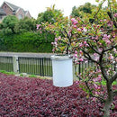 Jarro Lamparina com Painel Solar - Dê uma Repaginada no seu Jardim!