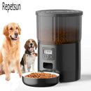 Alimentador Inteligente Automático 4L