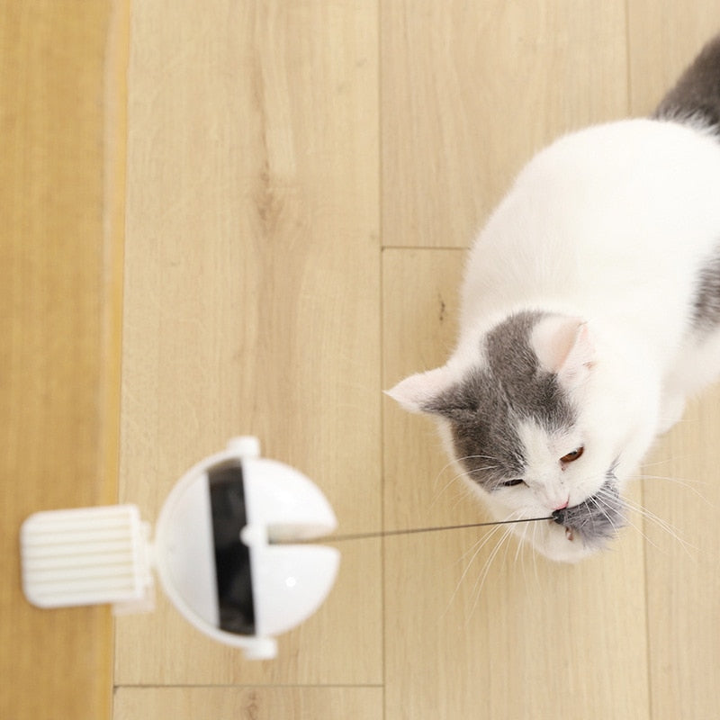 Brinquedo Ioiô Interativo que Estica a Bolinha para Gatos