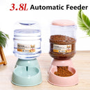 Bebedor e Comedor Automático Grande 3,8L