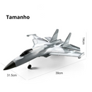 Planador Grande 2,4GHz com Controle Remoto