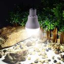 Lâmpada Solar de LED Portátil - Perfeita Para Acampar!