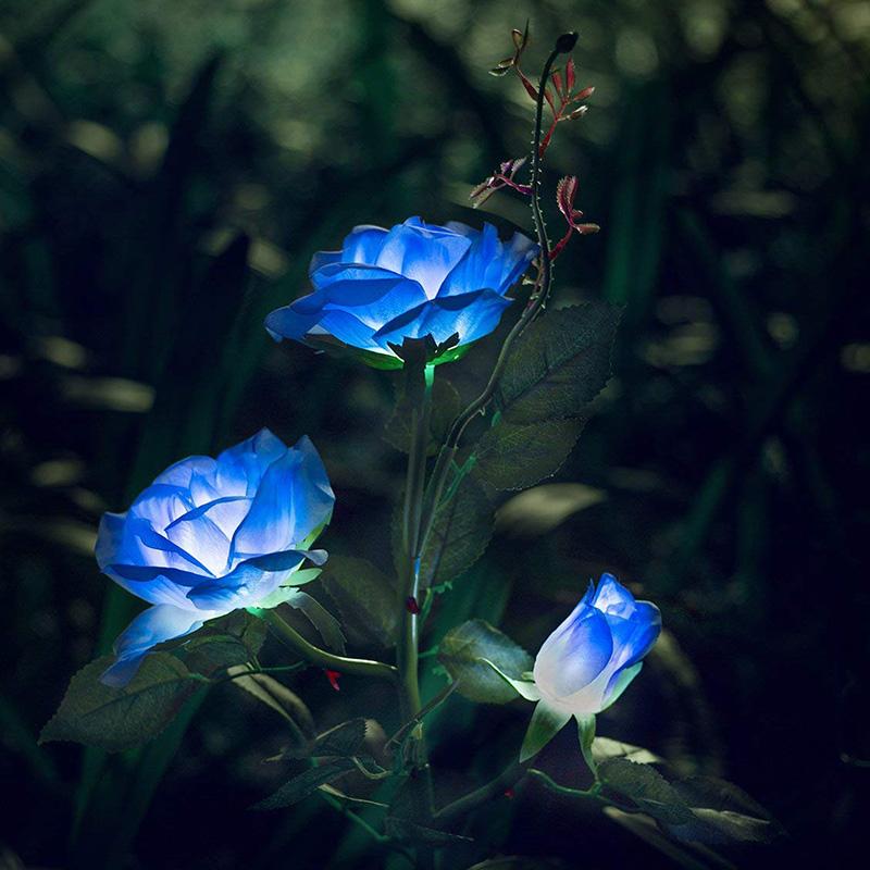 Rosa Eterna com LED Solar