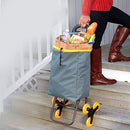 Carrinho de Carga 3 Rodas Climbing Cart 40kg Sobe Escadas