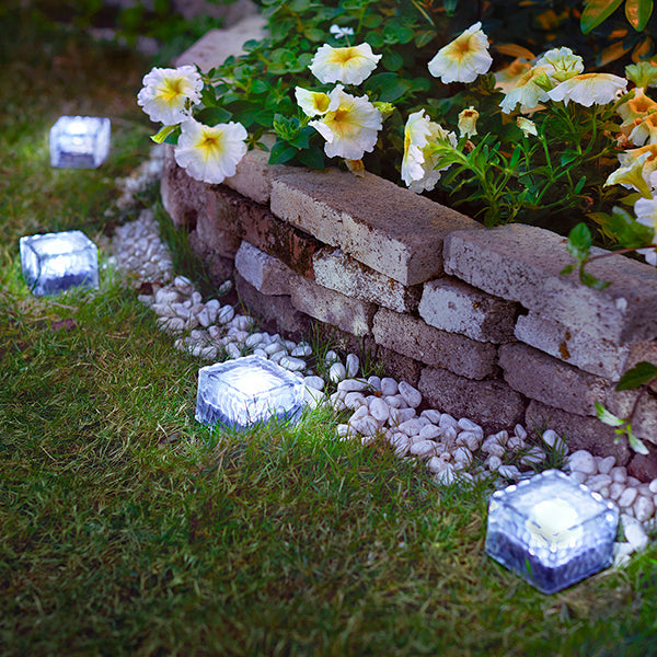 Tijolos de Vidro com Luz movido a Energia Solar - Perfeito para Decoração Externa!