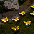 Luzes de Borboleta Movidas à Energia Solar