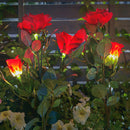 Rosa Eterna com LED Solar