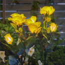 Rosa Eterna com LED Solar