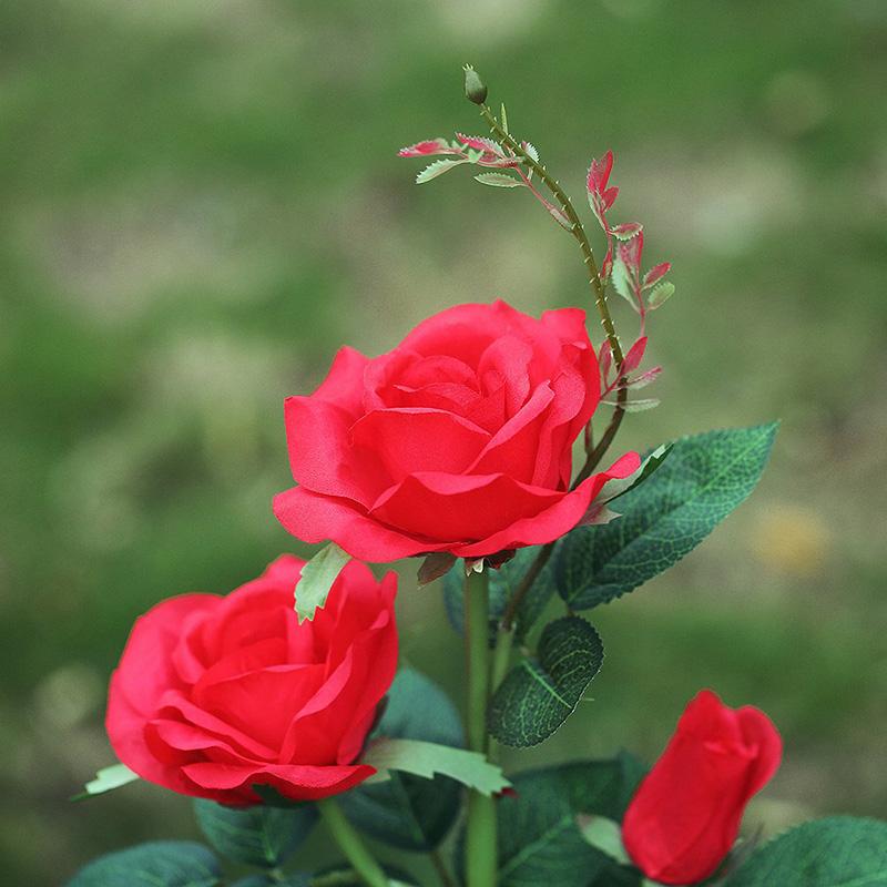 Rosa Eterna com LED Solar
