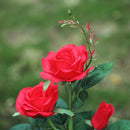 Rosa Eterna com LED Solar